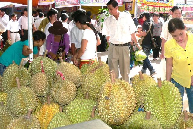 Vì sao giá sầu riêng "nhảy múa" ngay đầu Xuân Bính Ngọ ? - Ảnh 3.