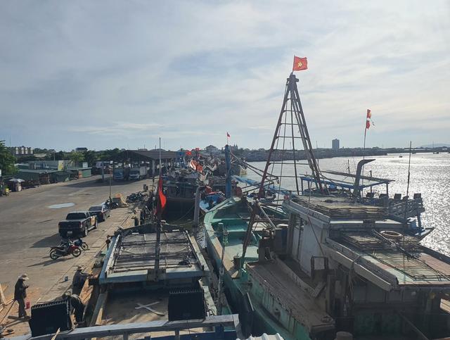Áp dụng VNeID để quản lý đội tàu, gỡ thẻ vàng IUU  - Ảnh 1.