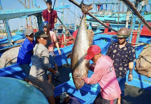 Quyết liệt gỡ 'thẻ vàng' IUU- Ảnh 2.