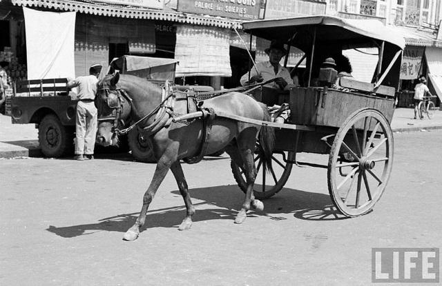 Ít ai biết, TP.HCM có 'đường của ngựa' hơn 100 năm trước chợ nhà giàu- Ảnh 1.