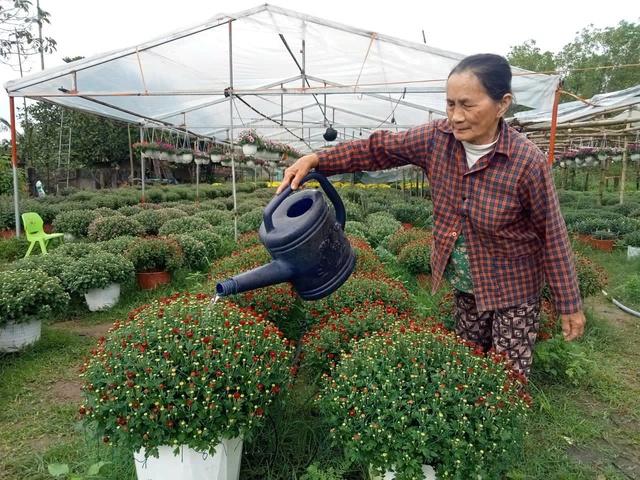 Hoa thơm nở trên đất khó ở Quảng Ngãi- Ảnh 3.