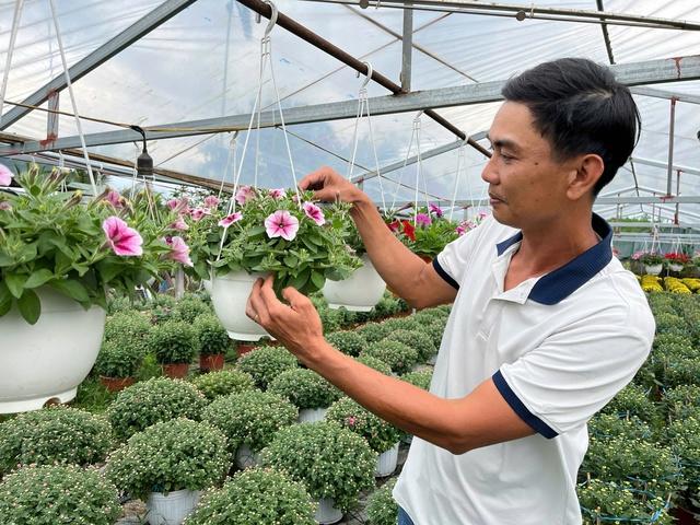 Hoa thơm nở trên đất khó ở Quảng Ngãi- Ảnh 1.