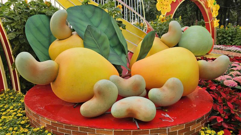 Trái điều Bình Phước sánh vai cùng bưởi Tân Triều tại đường hoa ven sông Đồng Nai - Ảnh 5.