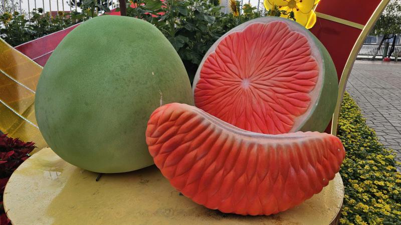 Trái điều Bình Phước sánh vai cùng bưởi Tân Triều tại đường hoa ven sông Đồng Nai - Ảnh 6.