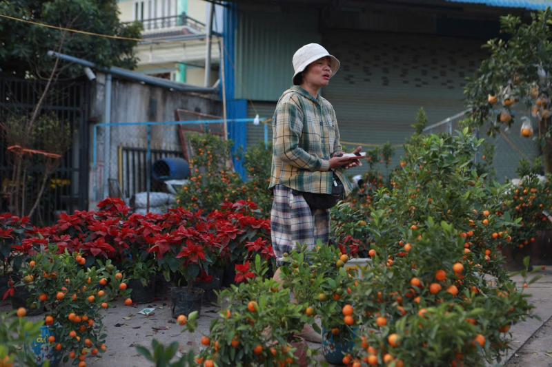 Chị Yến tặng 500 chậu hoa tết cho người khó khăn nhân dịp tết yêu thương 2026 - Ảnh 10.