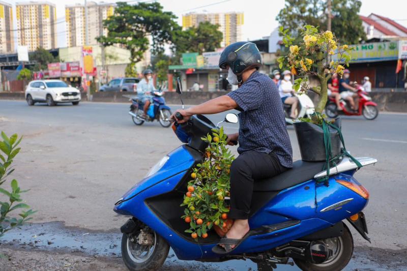 Chị Yến tặng 500 chậu hoa tết cho người khó khăn nhân dịp tết yêu thương 2026 - Ảnh 8.