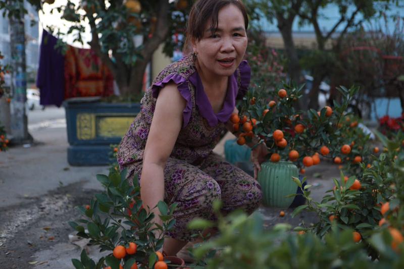 Chị Yến tặng 500 chậu hoa tết cho người khó khăn nhân dịp tết yêu thương 2026 - Ảnh 9.