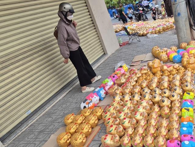 Heo đất 'phủ sóng' khắp các tuyến đường, người trẻ mua để 'đựng' ước mơ - Ảnh 3.