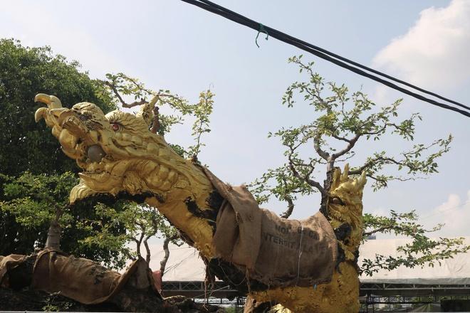 Cây cảnh giá tiền tỉ, dáng độc lạ hút khách tại festival ở TP.HCM- Ảnh 2.