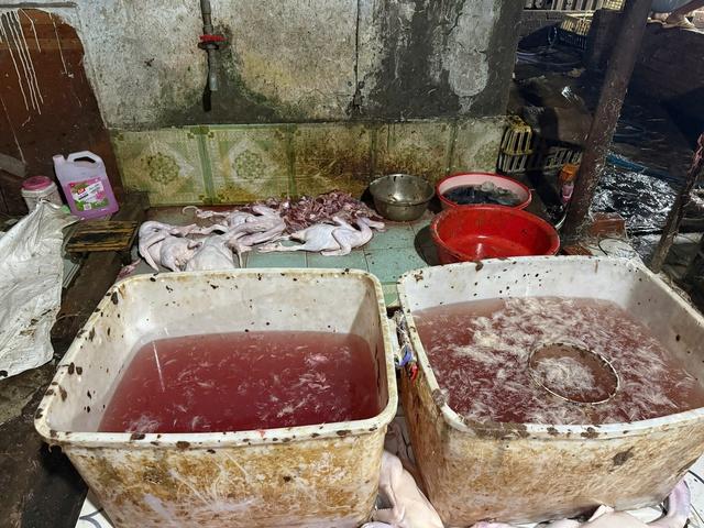 TP.HCM: Đột kích lò giết mổ gia cầm 'siêu bẩn' lúc rạng sáng - Ảnh 3.