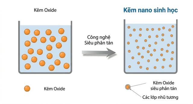 Kẽm Nano sinh học: Giải pháp cho trẻ biếng ăn do thiếu kẽm - Ảnh 2.
