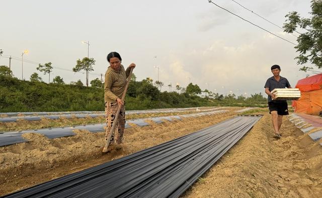 Mưu sinh trên sông Trà: Đời nông dân 'du mục'- Ảnh 3.