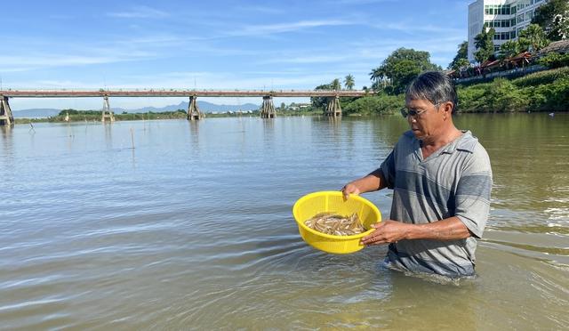 Nghề đặt ống tre bắt cá bống sông Trà Khúc - hương vị quê hương Quảng Ngãi - Ảnh 4.