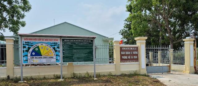 Bắt tạm giam một Giám đốc Ban quản lý rừng phòng hộ ở Gia Lai- Ảnh 1.