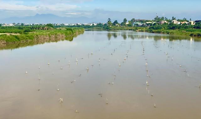 Nghề đặt ống tre bắt cá bống sông Trà Khúc - hương vị quê hương Quảng Ngãi - Ảnh 7.