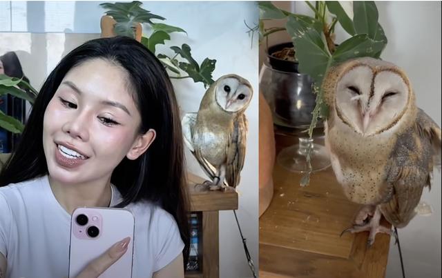 Mối duyên với chim cú lợn và hành trình 'giải mã' những quan niệm sai lầm - Ảnh 2.