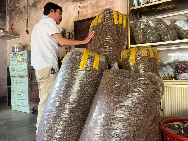 Thu mua xác ve sầu ở Tây nguyên "là hiện tượng lạ'?- Ảnh 2.