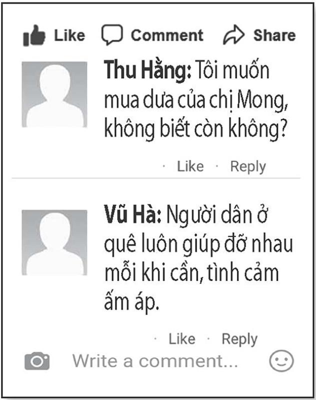 Chung sức bán 10 tấn dưa giúp người phụ nữ bị gãy chân - Ảnh 5.