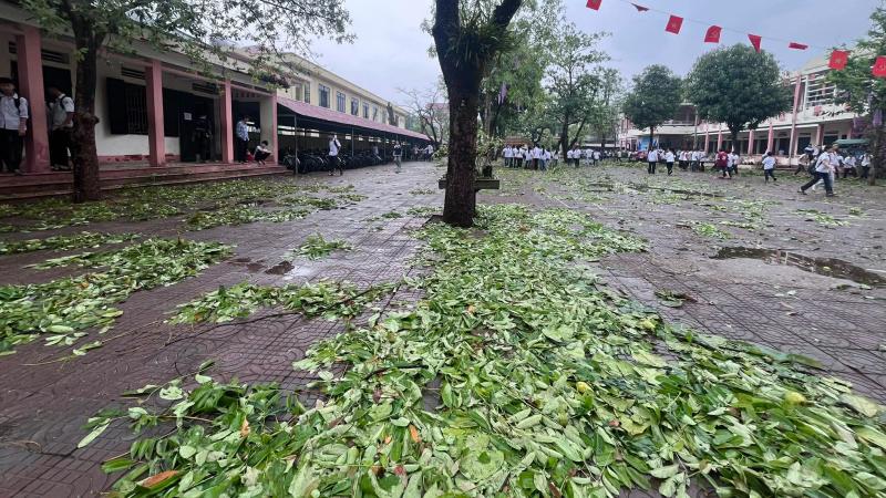 Thanh Hóa: Mưa đá bất thường nhiều nơi gây hư hỏng tài sản- Ảnh 2.