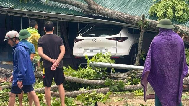 Mưa đá và gió lốc xảy ra nhiều nơi ở Thanh Hóa- Ảnh 2.
