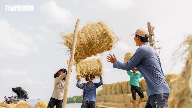 Chợ rơm cuộn Ba Lai: Nơi giao thương Nhộn nhịp và Nụ cười Giữa nắng hè - Ảnh 11.