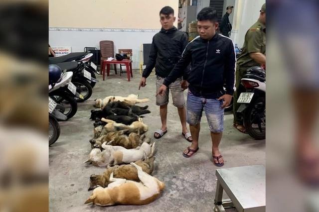 Bắt 2 nghi phạm trộm chó mang súng tự chế và kích điện- Ảnh 1. Bắt 2 nghi phạm trộm chó mang súng tự chế và kích điện- Ảnh 1.