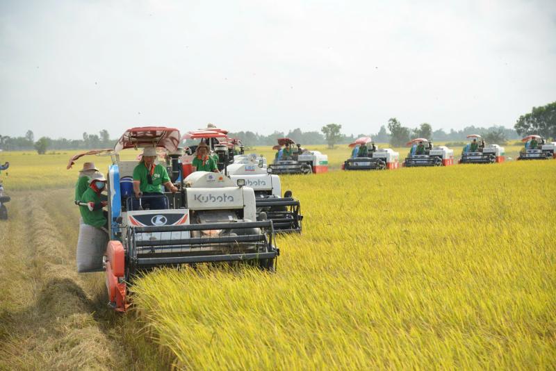 Nông nghiệp là trụ đỡ trong khủng hoảng- Ảnh 1.