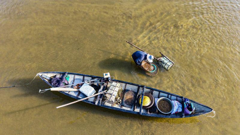 Mưu sinh trên sông Trà: Săn “lộc trời” dưới cát - Ảnh 1.
