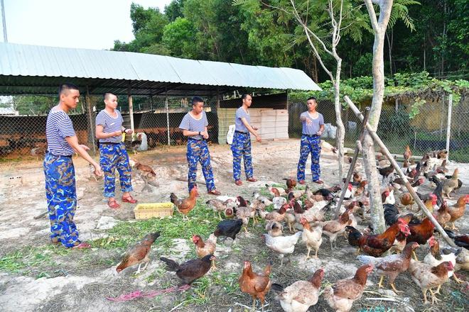 Thao trường của những người lính trẻ Vùng 2 Hải quân- Ảnh 19.