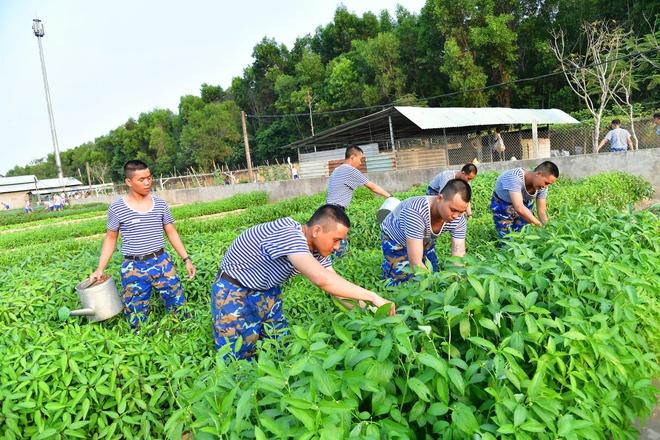 Thao trường của những người lính trẻ Vùng 2 Hải quân- Ảnh 20.