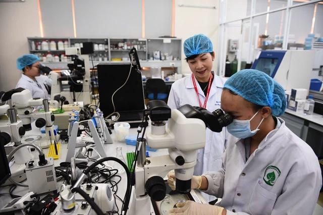 Tăng tốc đào tạo tiến sĩ: Các chương trình miễn phí - Ảnh 2.