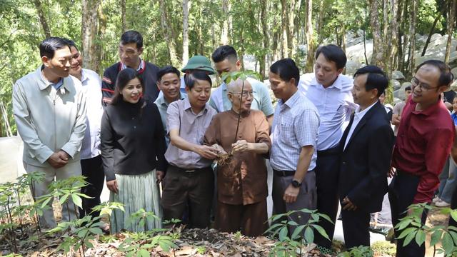 'Gieo hạt giống tương lai' từ 3.000 cây sâm Ngọc Linh cho thanh niên miền núi- Ảnh 2.