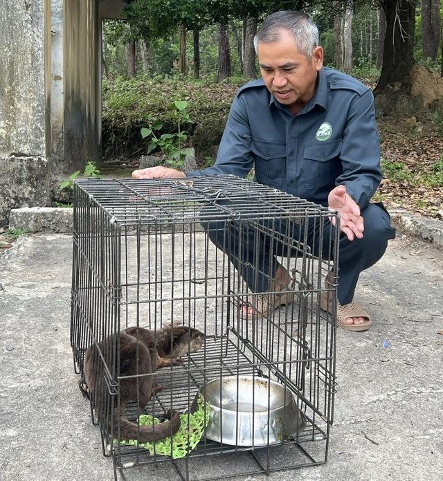 Vườn Quốc gia Kon Ka Kinh hồi sinh những 'báu vật' đại ngàn - Ảnh 2.