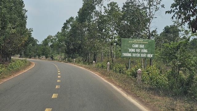 Đường kết nối Bình Phước cũ với Đồng Nai cũ sẽ có 8 xe  - Ảnh 2.
