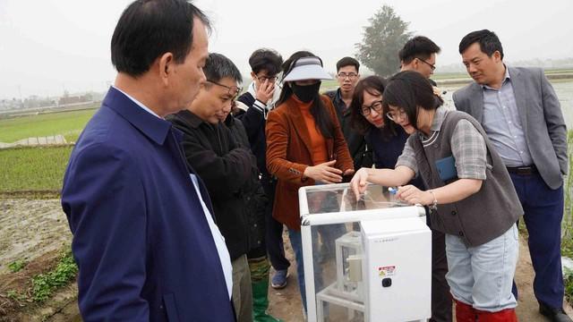 'Nữ tướng' của viện nghiên cứu chuyên sâu về AI đầu tiên tại Việt Nam- Ảnh 2.