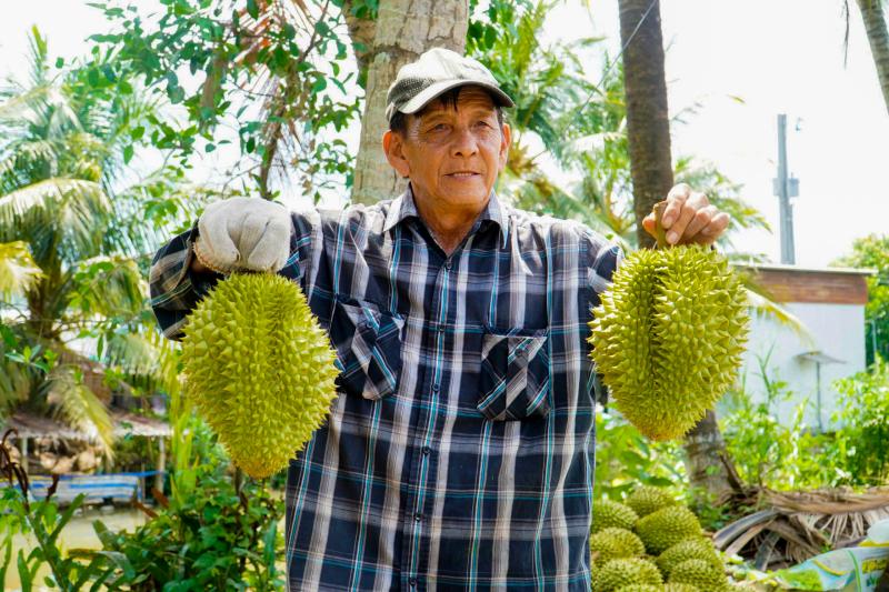 Bí quyết giúp nông dân trồng sầu riêng giữ giá ổn định  - Ảnh 2.