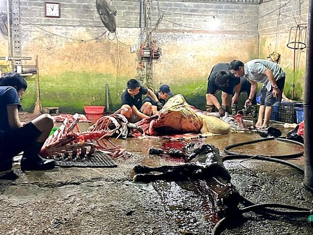 Thịt bẩn tung hoành qua lỗ hổng kiểm dịch: Thâm nhập lò mổ 'chui'- Ảnh 1.
