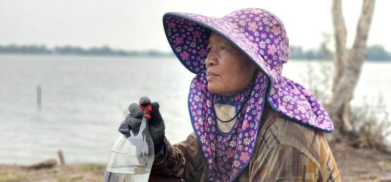 Cỏ Bàng Đức Lập: Nhọc Nhằn nghề cắt cỏ bàng Thuê - Ảnh 3.
