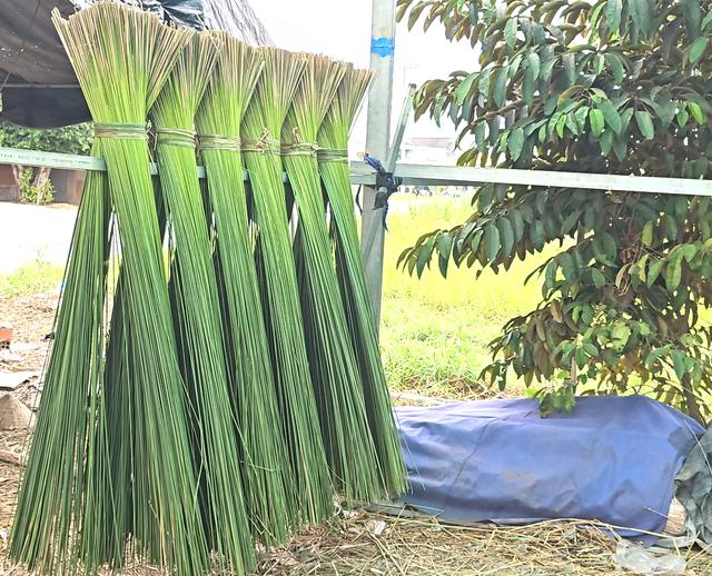 Cỏ bàng Đức Lập: Từ sợi cỏ phèn đến túi xách 'thời thượng' - Ảnh 2.
