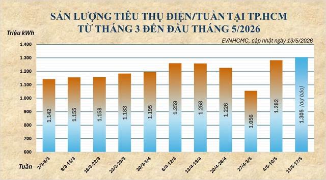 Nắng nóng kéo dài, tiêu thụ điện TP.HCM lập kỷ lục mới- Ảnh 2.