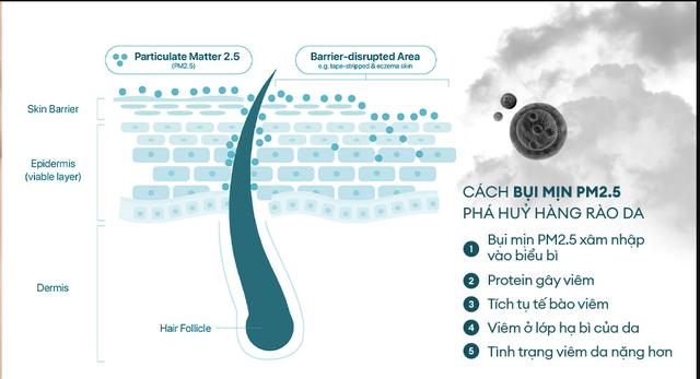 Làm sạch bụi mịn sau khi di chuyển nhiều ngày nắng nóng giúp da khỏe, sạch sâu - Ảnh 2.