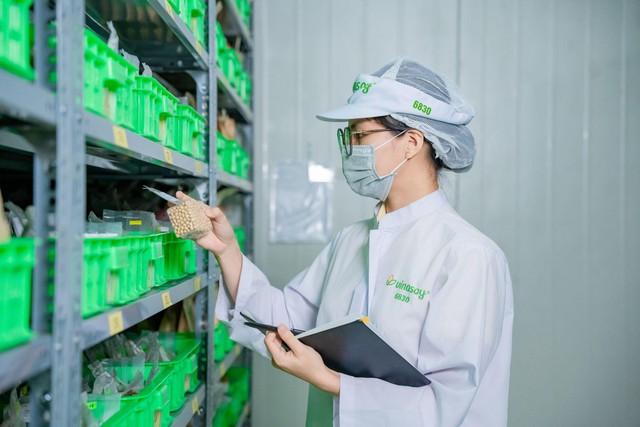 Vinasoy công bố thông điệp mới, kiến tạo dưỡng chất lành từ đậu nành và hạt  - Ảnh 2.
