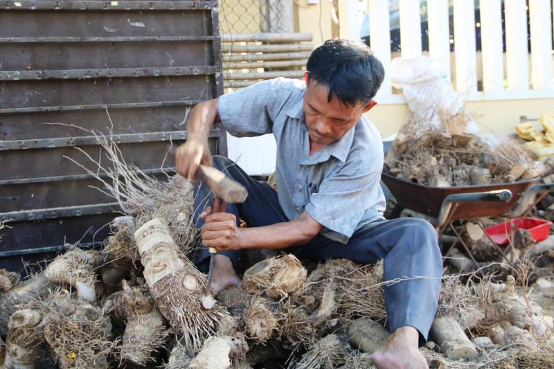 Nghệ nhân 'răng sún' khiến du khách mê mẩn vì tài bắt gốc tre… biết cười - Ảnh 4.
