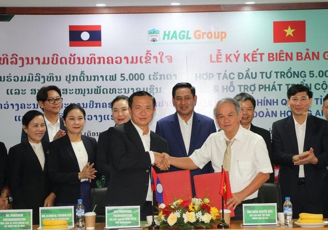 HAGL bắt tay tỉnh Champasak phát triển 5.000 ha cà phê- Ảnh 1.