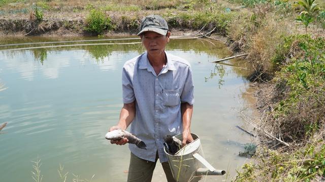 Cá chết hàng loạt khi thi công Cảng hàng không Cà Mau:  bồi thường, không hỗ trợ - Ảnh 1.
