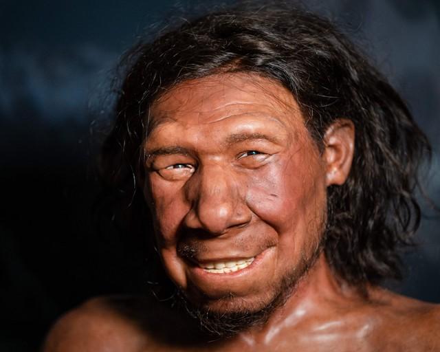 59.000 năm trước, người Neanderthal đã biết trị sâu răng? - Ảnh 1.