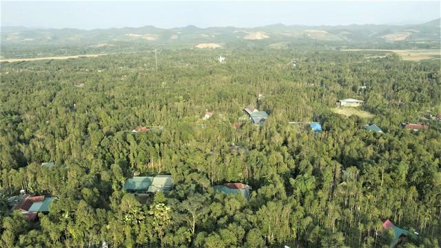 Nghề trầm dưới dãy Trường Sơn: Từ linh khí đại ngàn đến báu vật trong vườn nhà- Ảnh 6.