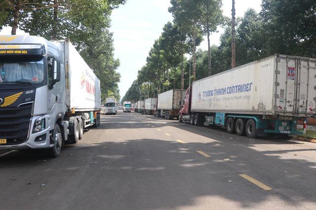 Xe container chở sầu riêng chờ kiểm định để xuất khẩu đậu kín bến xe Dầu Giây - Ảnh 1.