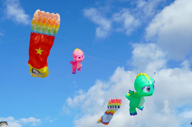 Cánh diều tôm cua khổng lồ phủ kín bầu trời Cà Mau, hút nghìn người thưởng lãm   - Ảnh 10.