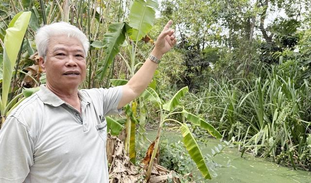 Bảo tồn vườn chim Vĩnh Phước: Hành trình 32 năm độc nhất của cựu chiến binh U.80- Ảnh 1.